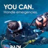 PADI Rescue